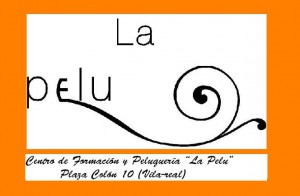 lapelulogoorange