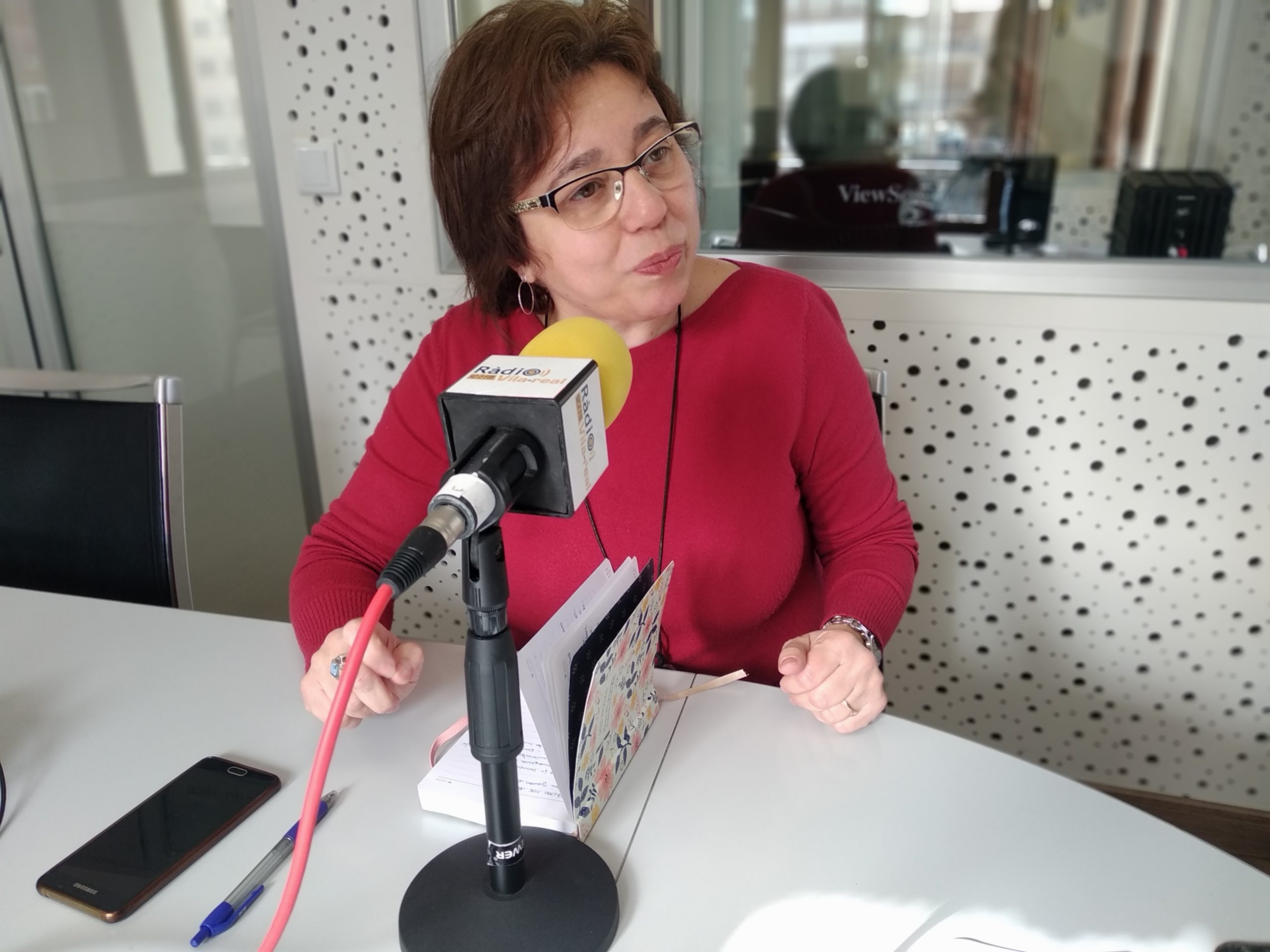Entrevista a la diputada autonómica del PSPV por Castellón, Sabina Escrig