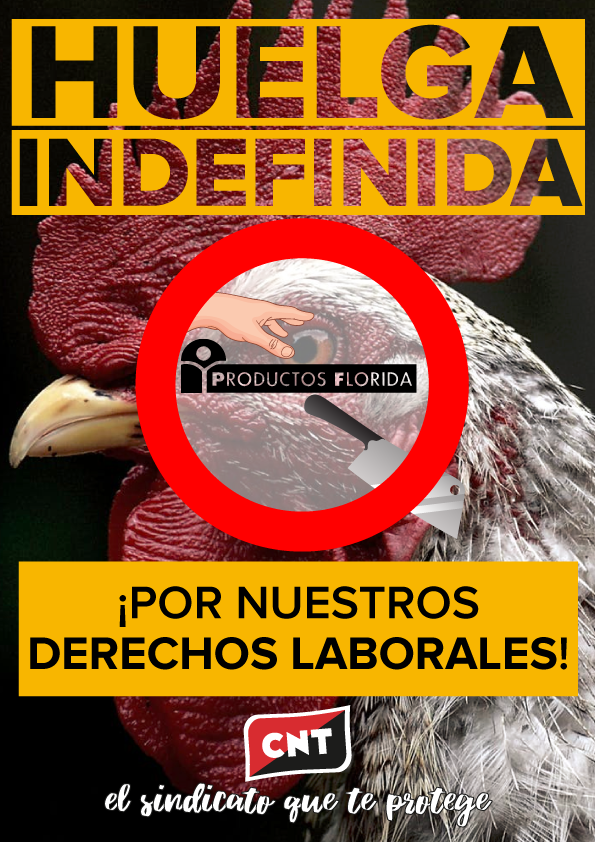 Entrevista a Antonio Ruiz, asesor sindical y jurídico de CNT por la situación laboral de la planta de Productos Florida en Almassora