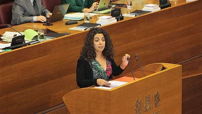 Portavoz de Educación del PSOE a Les Corts, Ana Besalduch