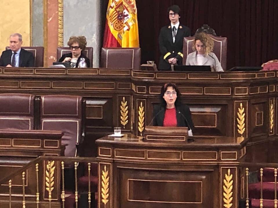 Entrevista a la diputada nacional de Unidas Podemos, Marisa Saavedra