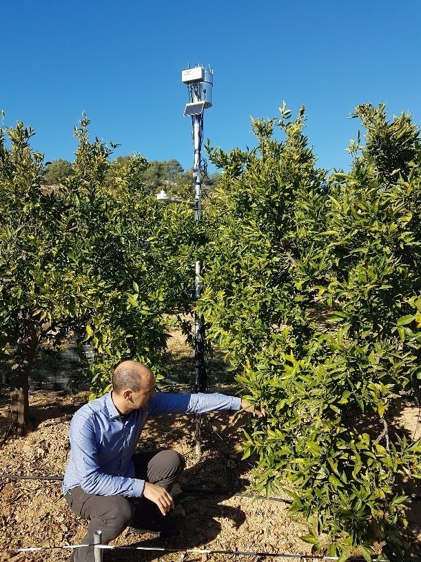 Entrevista a los técnicos de campos de Frutinter, Ximo Ferrer y Claudia Escrig