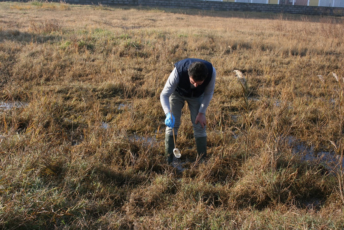 Almassora acumula 27 jornadas de tratamiento de mosquitos en 2020