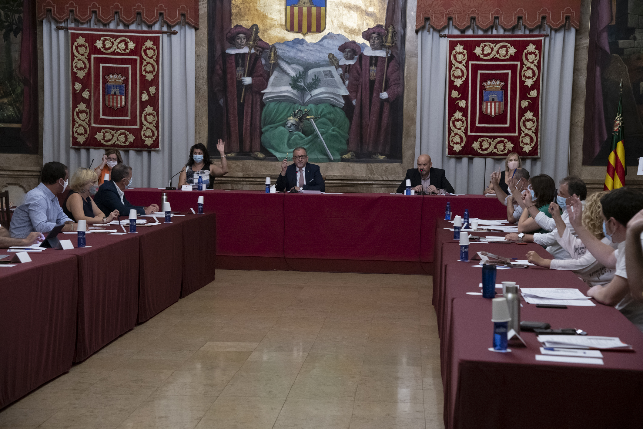 La Diputación reivindica de forma unánime tratamientos alternativos contra el cotonet y el restablecimiento del AVE Madrid-Castelló