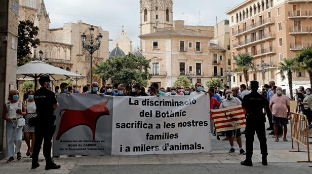 Entrevista al presidente de la Asociación de ganaderos de ‘Bous al carrer’ de la Comunitat Valenciana, Daniel Machancoses