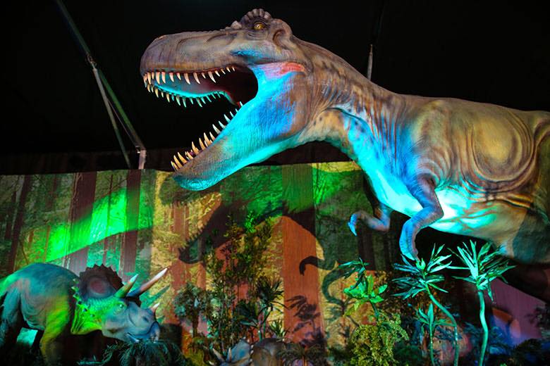 Llega a Vila-real la exposición ‘Dinosaurs Tour’ descúbrela con Radio Vila-real