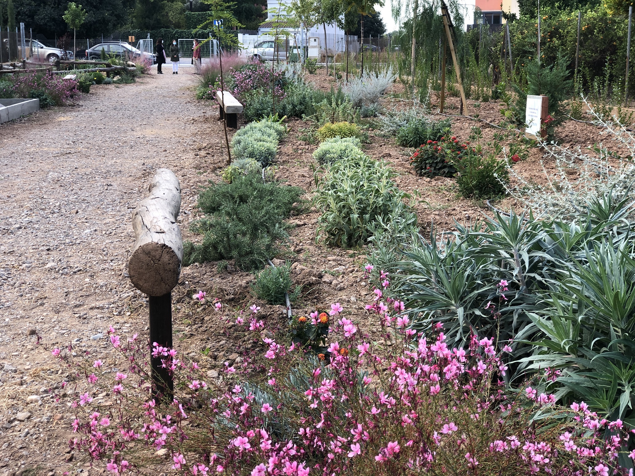 Almassora transforma un solar abandonado en el jardín Darremur Harmònic