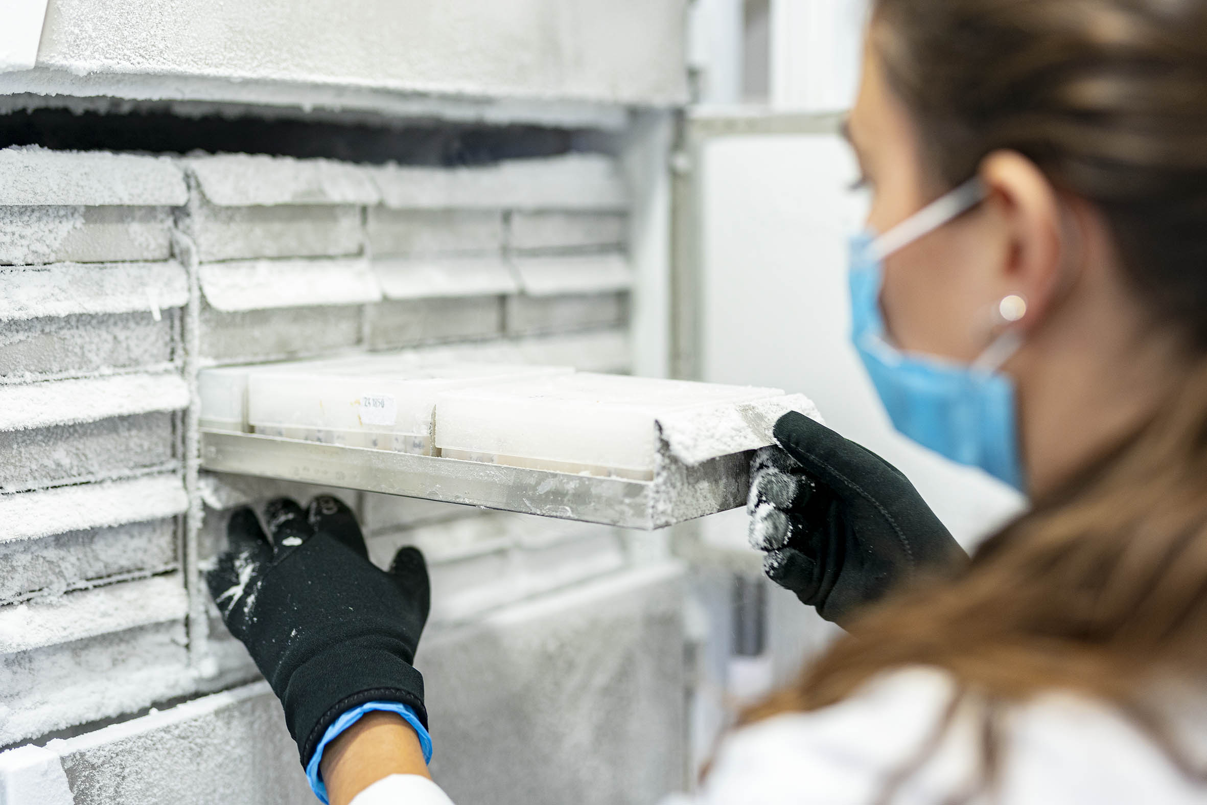 La Fundación del Hospital Provincial de Castellón gestiona y conserva más de 5.000 muestras biológicas de alta calidad para respaldar líneas de investigación en todo el país