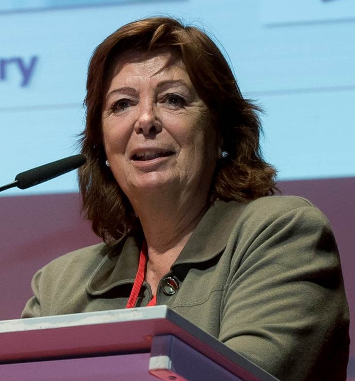 Entrevista a la científica de la UJI en el campo de la Química, María Vallet