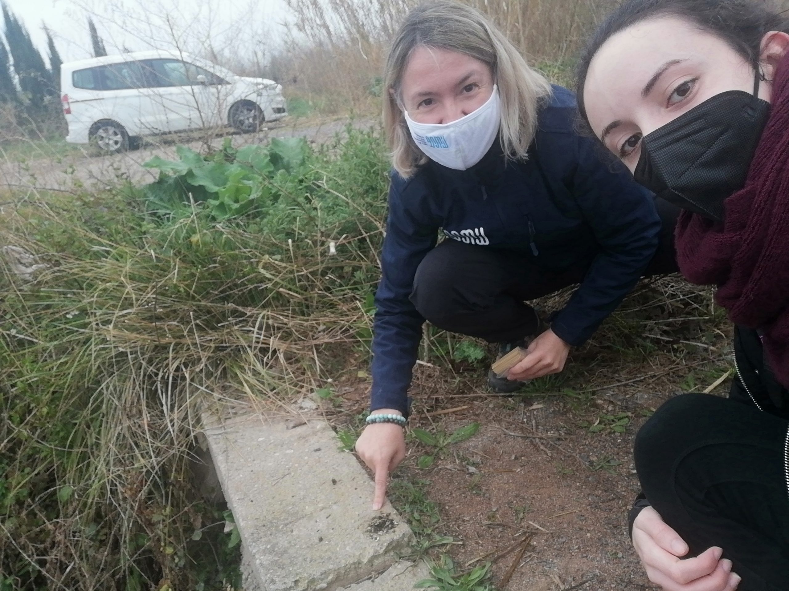Detectan por primera vez la presencia de nutrias en  Borriana