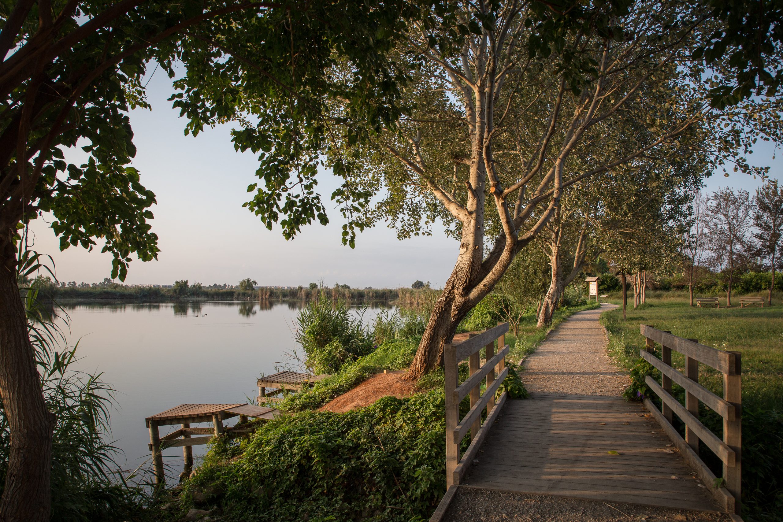 Almenara fomentará el turismo de observación de aves