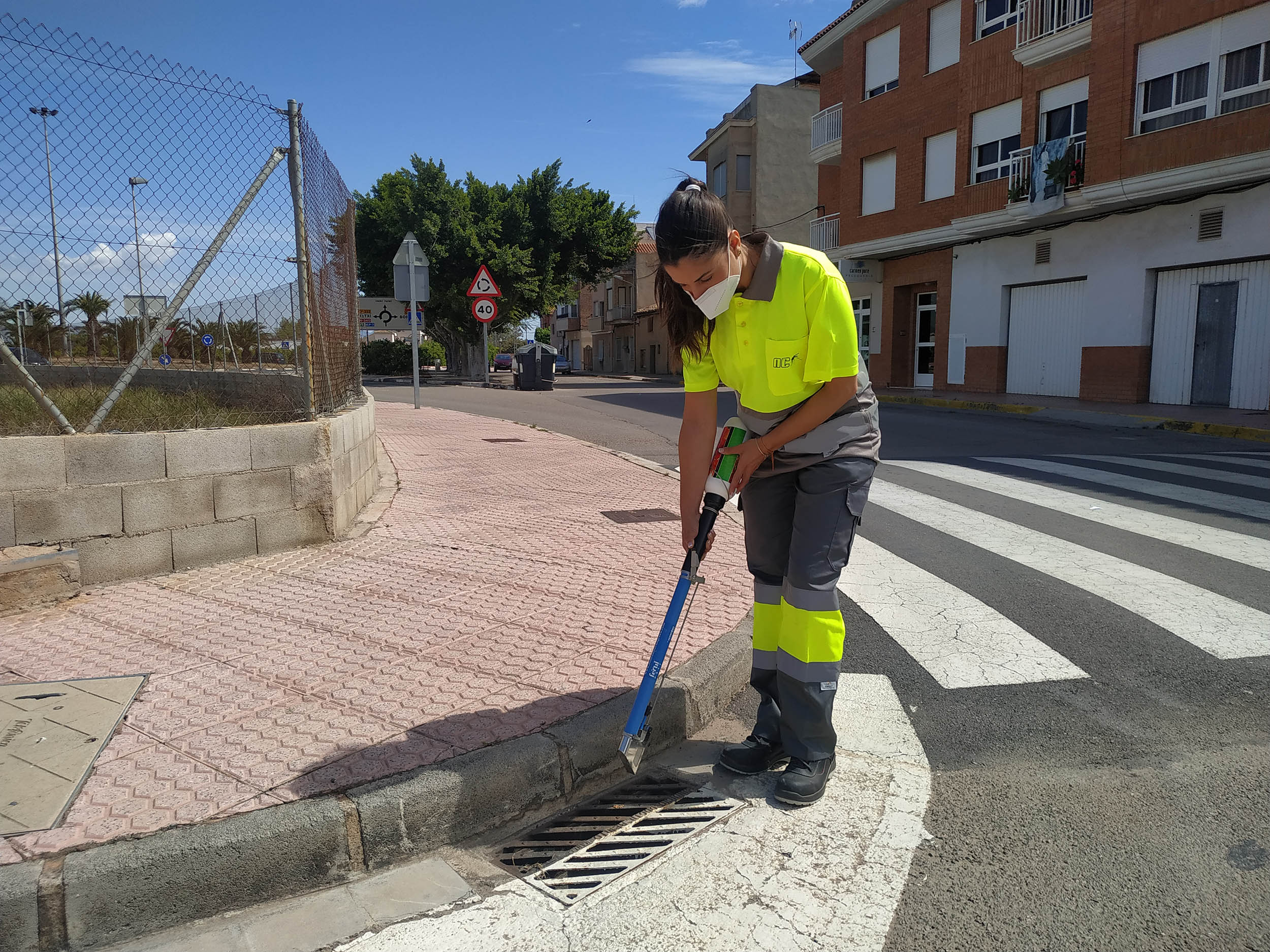 Les Alqueries intensifica los trabajos para el control del mosquito tigre