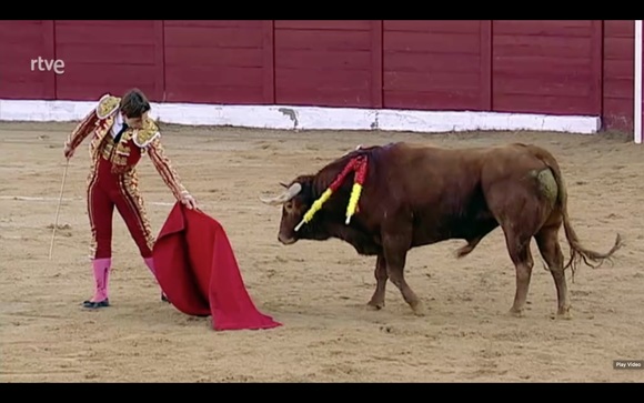 Compromís pide que la Ley de la Infancia proteja al menor de su exposición a la tauromaquia en horario protegido