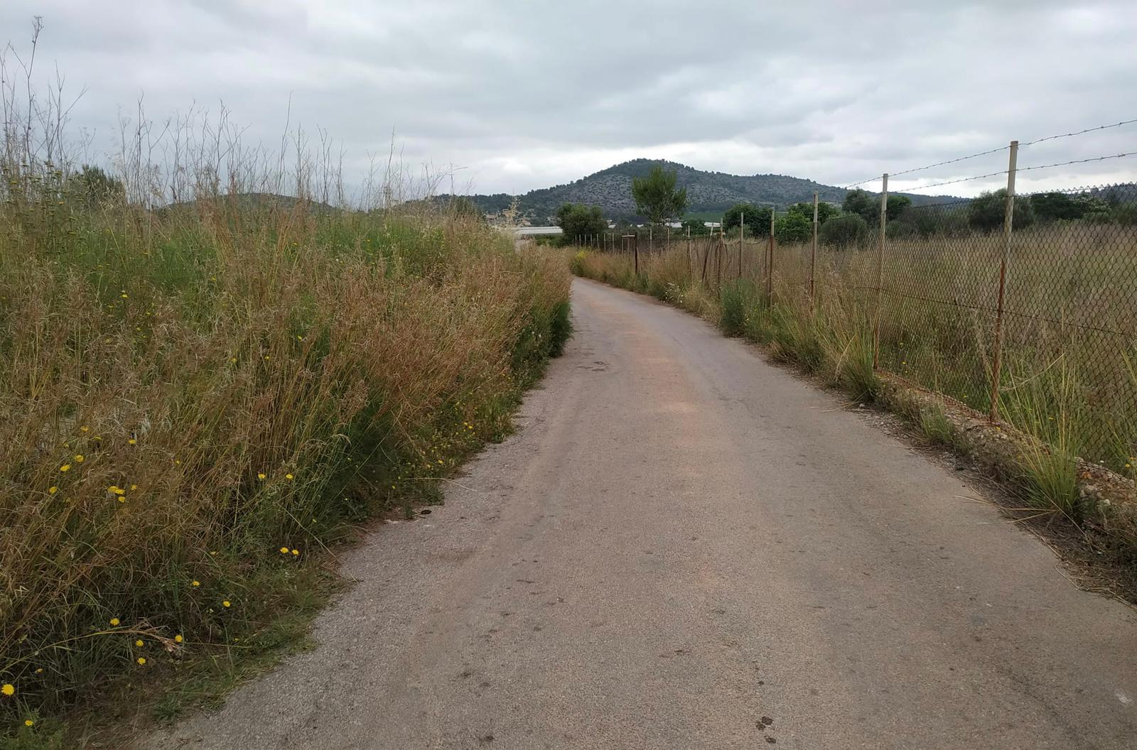 Blaya (PSPV-PSOE) denuncia el abandono de los caminos rurales de Onda y la dejadez del equipo de gobierno del PP