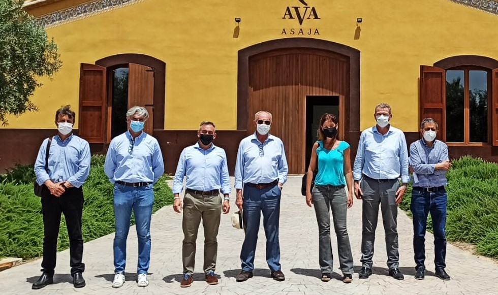 El PP pide ayudas por los daños de los flamencos en los arrozales de la Albufera