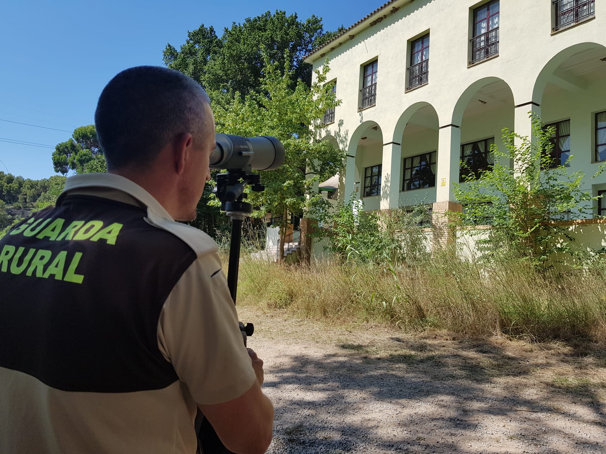 El consorcio gestor del Paisaje Protegido de la Desembocadura del Mijares censa la colonia de aviones comunes del molino del Termet