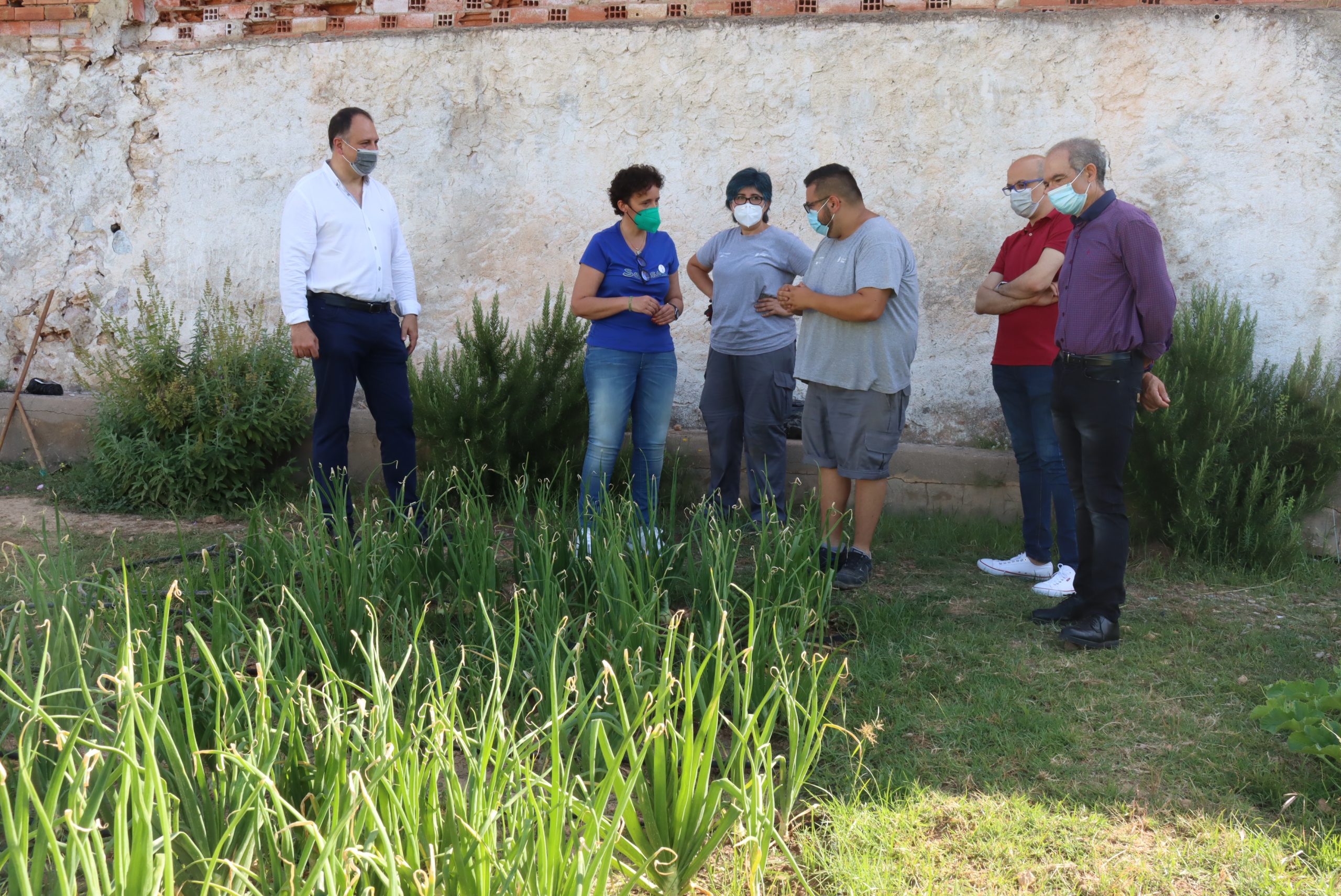 Alumnos de Onda cultivan productos agrícolas ecológicos para destinarlos a los más necesitados