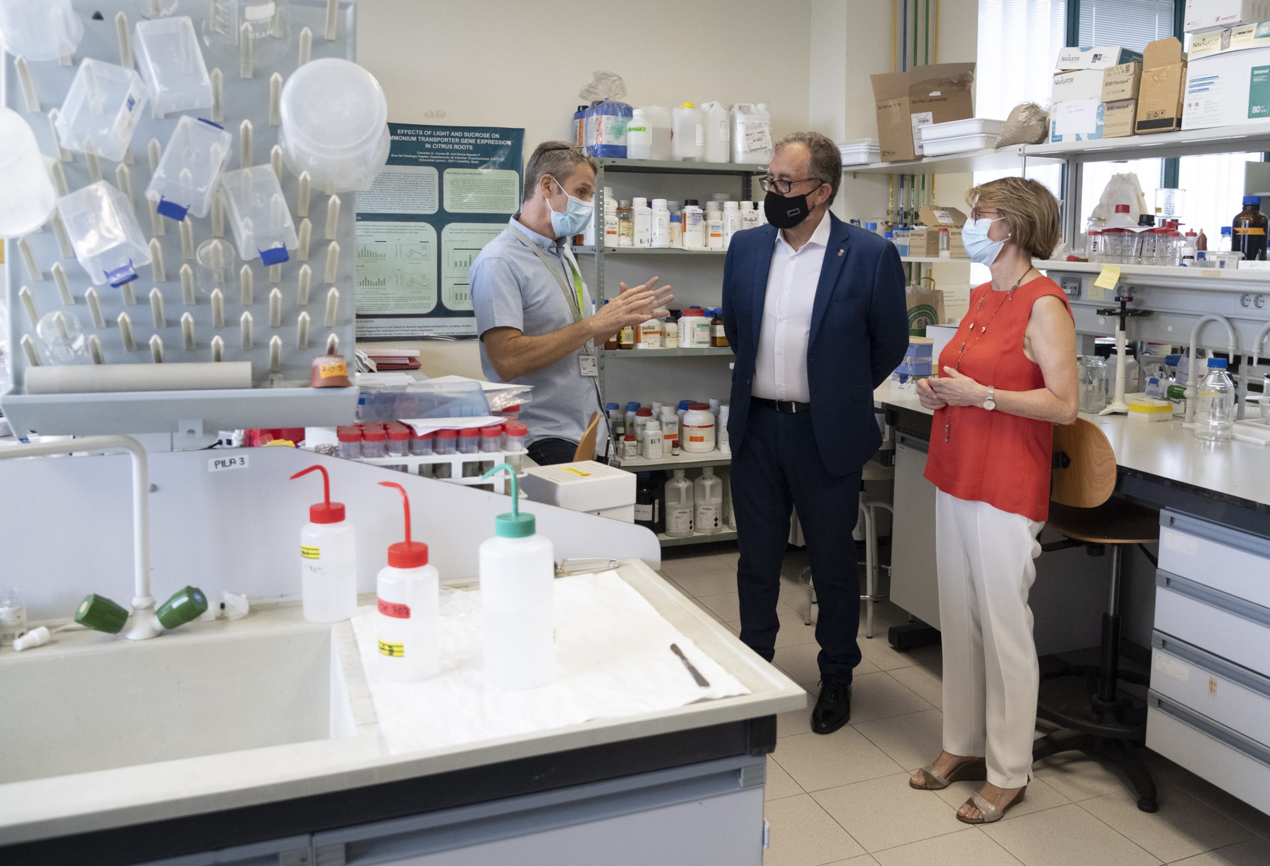 Diputación de Castellón y UJI impulsan un proyecto de investigación internacional para combatir plagas y enfermedades en cultivos mediterráneos con microorganismos beneficiosos