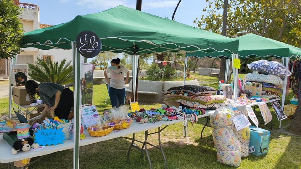 II Feria de la adopción en Moncofa