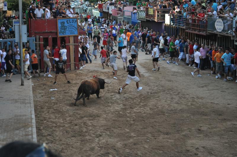 Conoce el origen de «els bous al carrer» en Vila-real con Santi Cortells