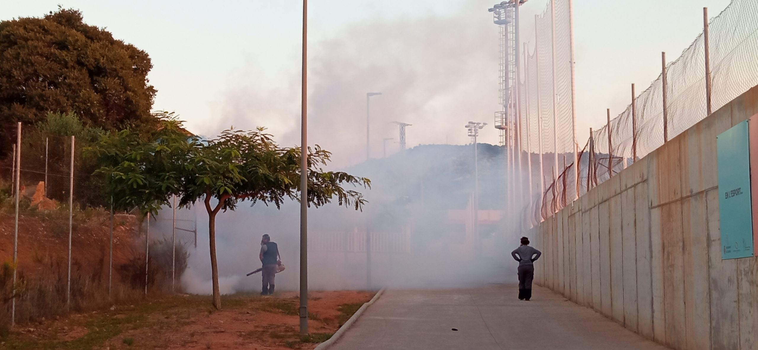 El Patronato de Deportes realiza fumigaciones contra mosquitos en instalaciones municipales