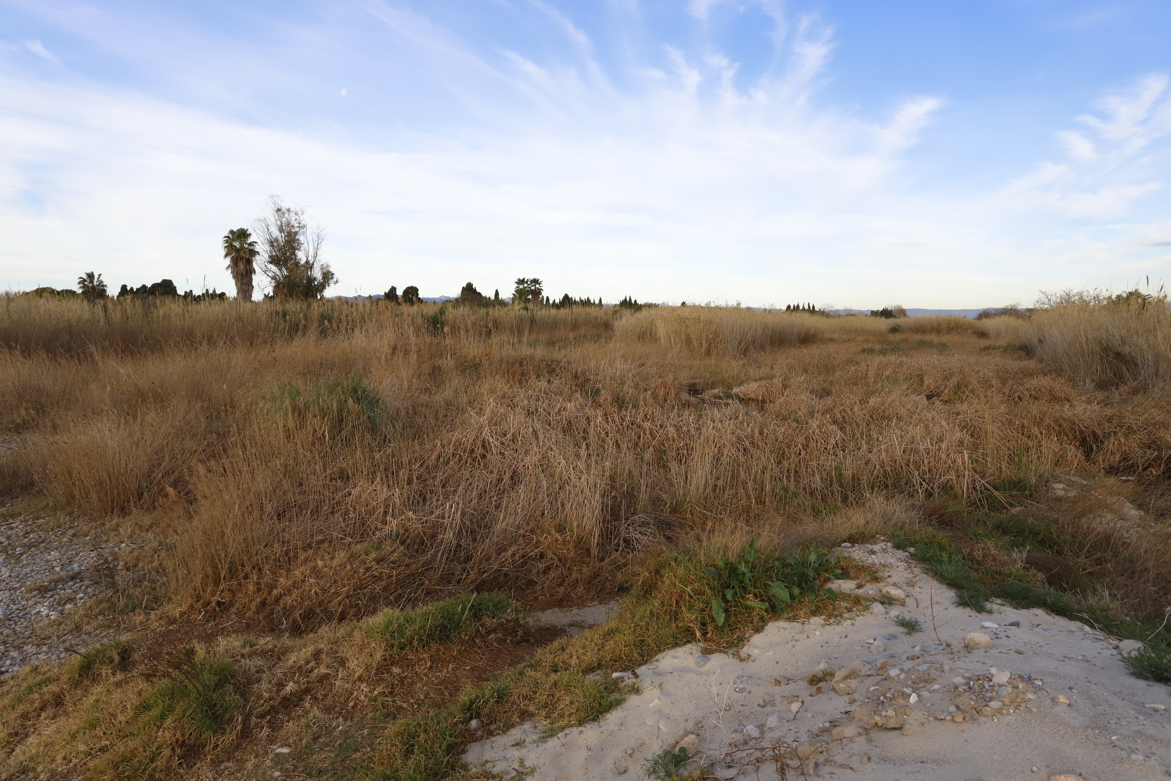 El Consorcio gestor del Paisaje Protegido de la Desembocadura del río Mijares recibe una subvención de 43.000 € para recuperar el ecosistema de la laguna de la Gola Norte