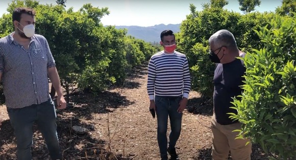 Compromís: «el Gobierno evidencia que no ha hecho nada en 7 años para ayudar a la agricultura valenciana afectada por el veto ruso»