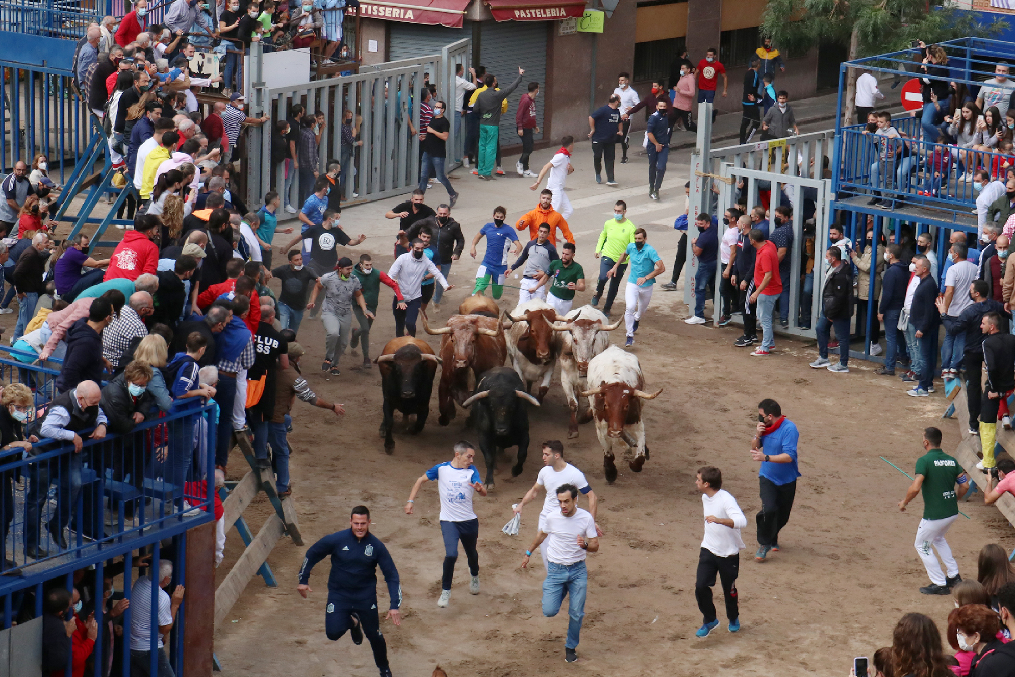 Onda inaugura los encierros de cerriles con una gran actuación del hierro castellonense de Daniel Ramos