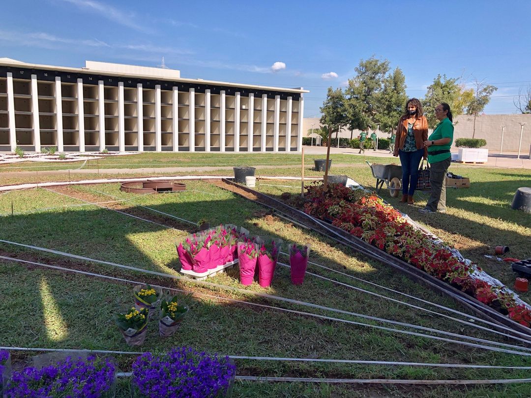 Almassora transforma el cementerio con las prácticas del Centro de Formación