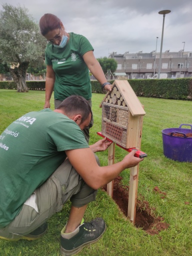 Nules cuelga cajas nido y hoteles para insectos en colegios y jardines públicos