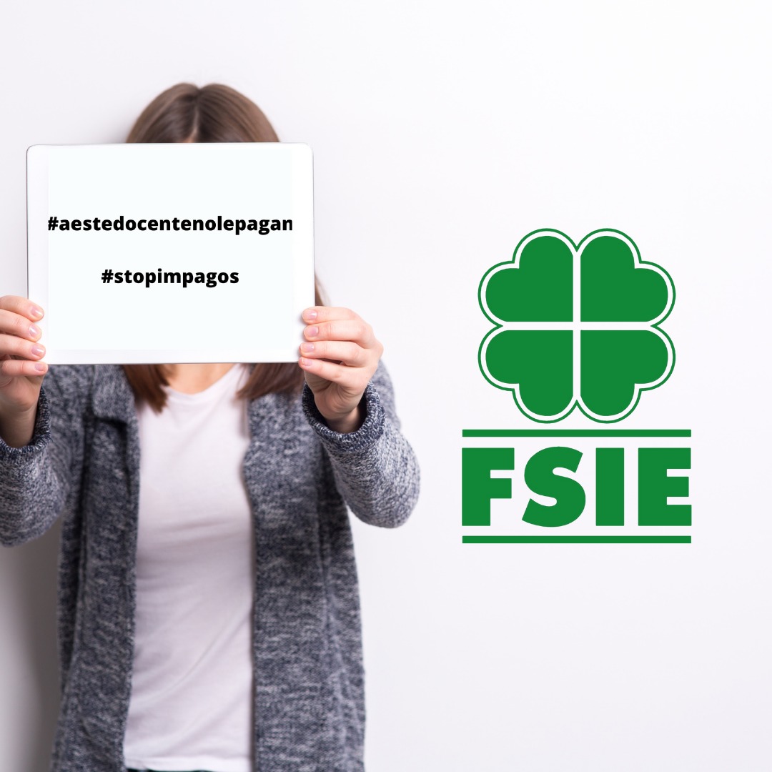 FSIE-CV denunciará ante el Síndic que más de 300 profesores sufren impagos en sus nóminas y anuncia movilizaciones