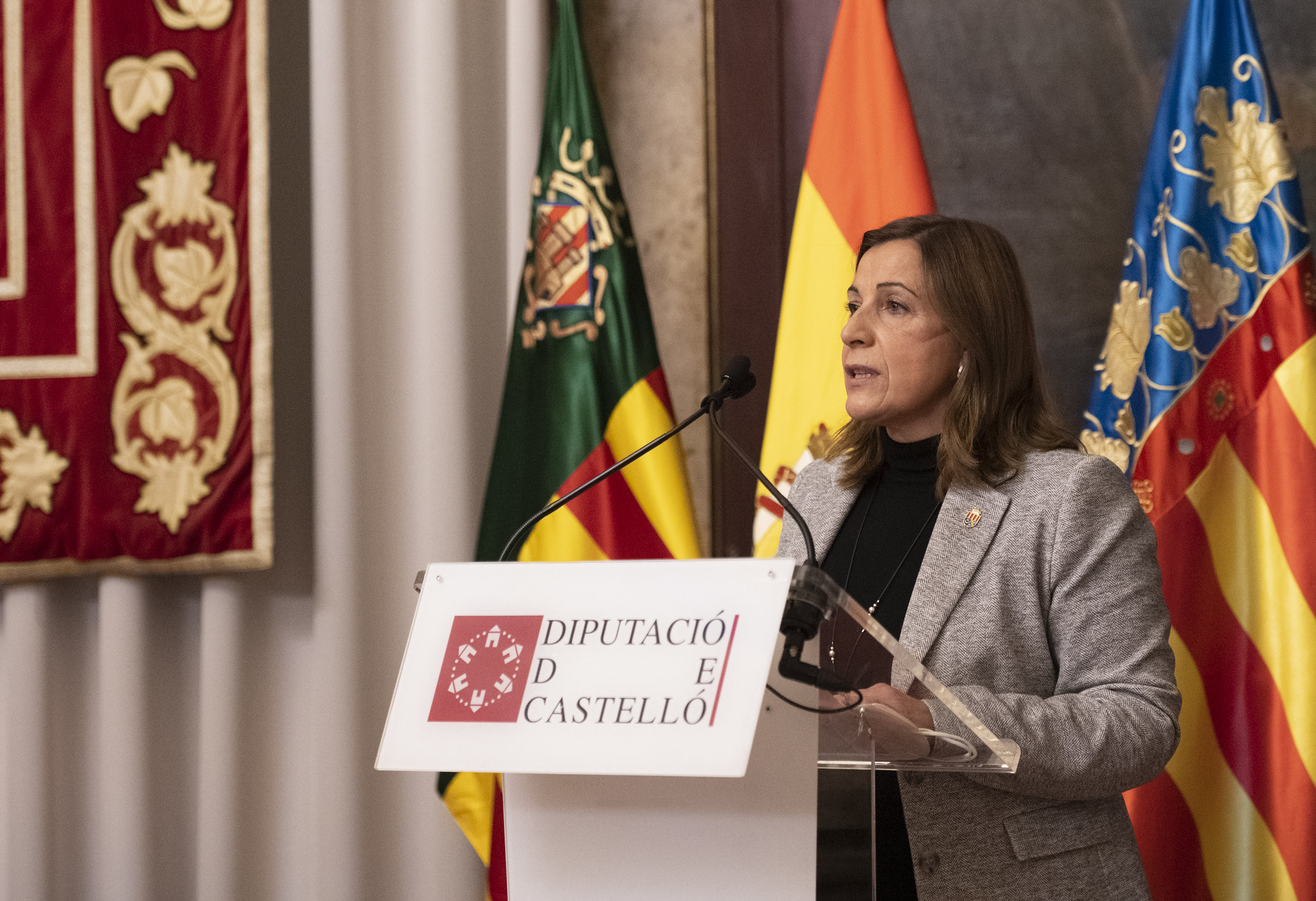 El PPCS reivindica en Diputación el rechazo a la tasa turística con «la que Puig pretende lastrar a un sector vertebral para Castellón»