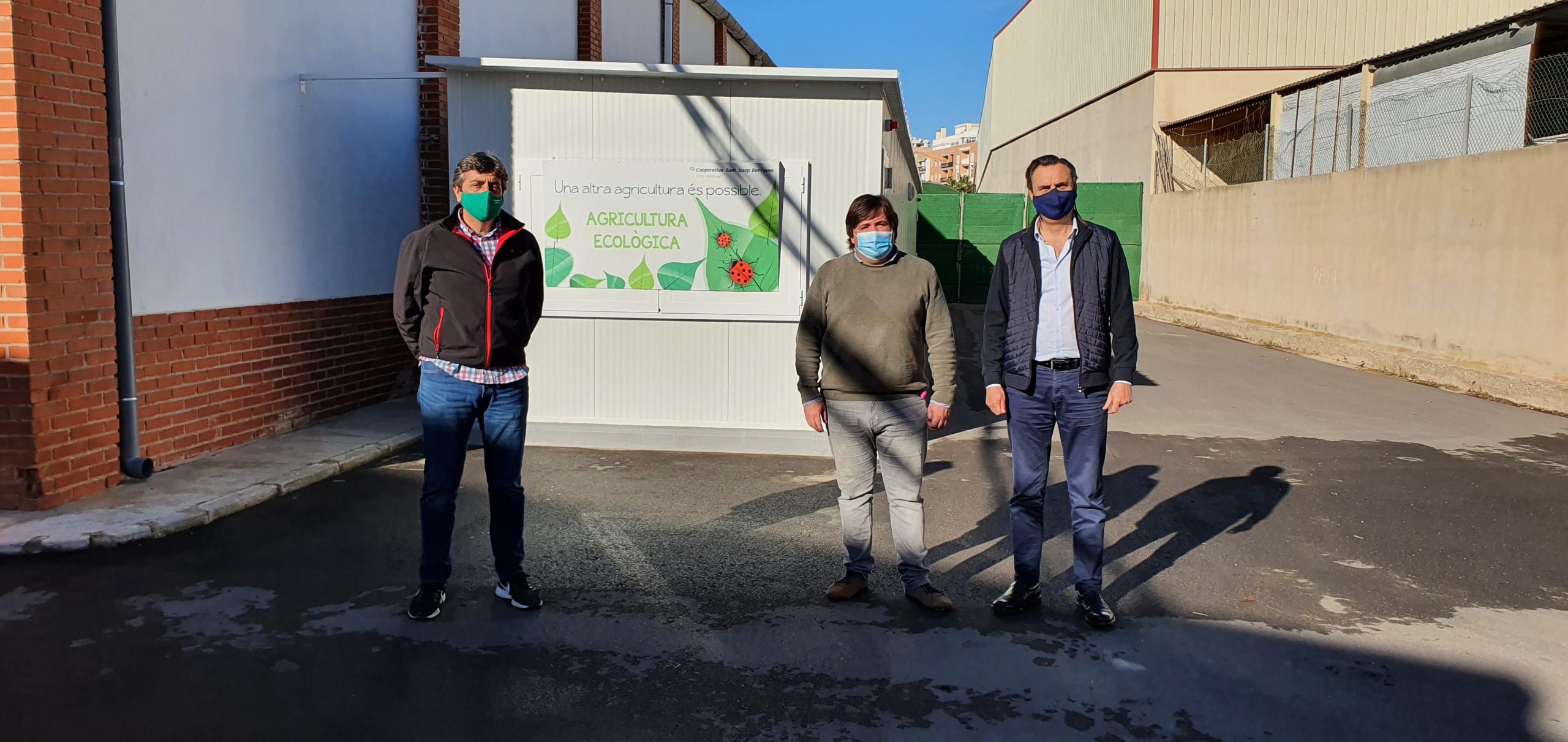 Burriana suma 15.000 euros a la batalla biológica contra el cotonet con un insectario en el municipio