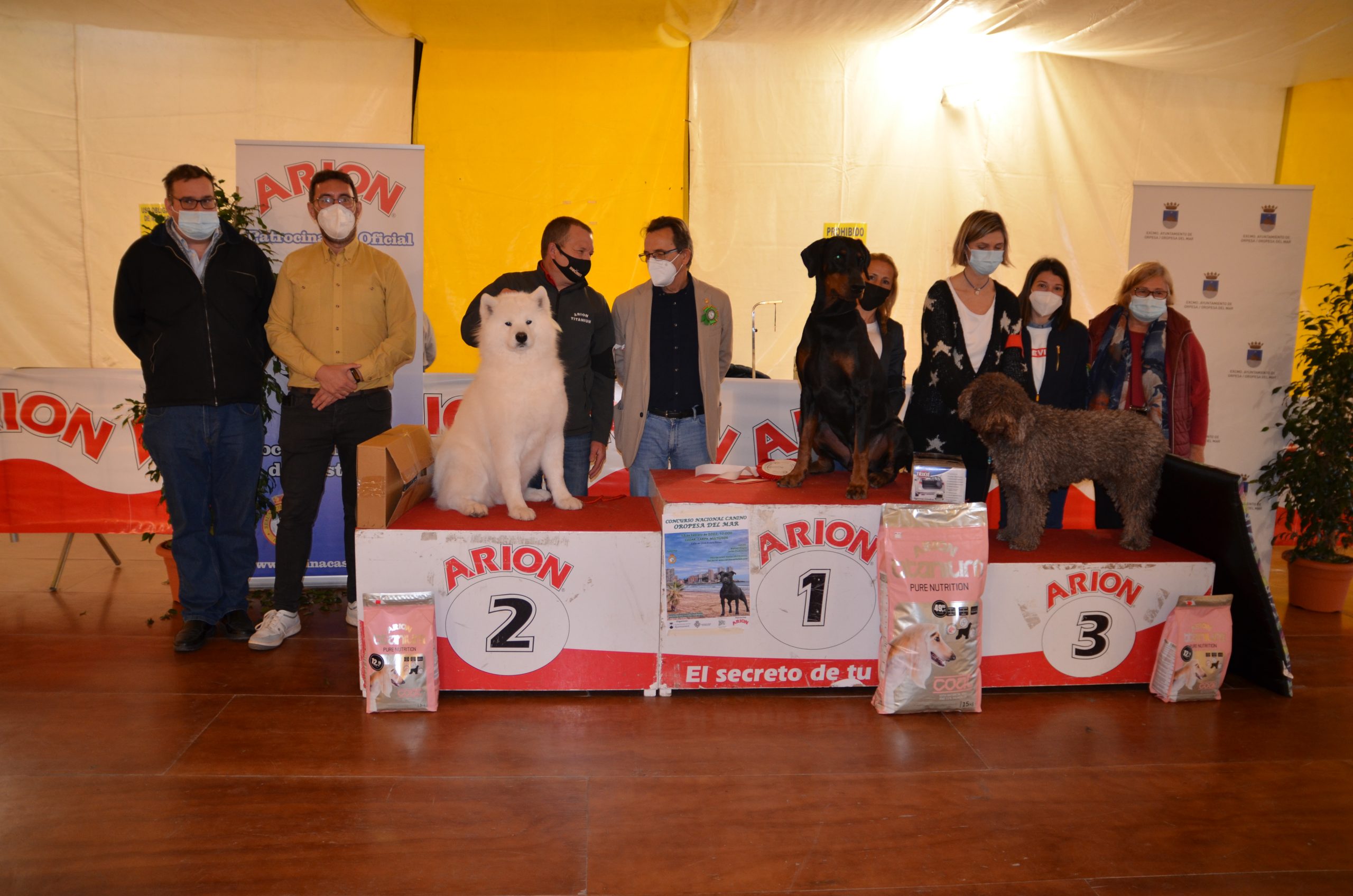 El I Concurso Nacional Canino de Oropesa del Mar atrae a más de 120 ejemplares
