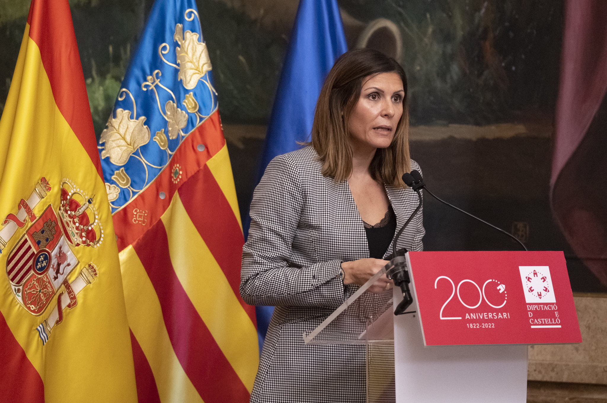 «PSOE y Compromís planean la segunda subida de tarifas eléctricas en Diputación de Castellón» según el PP