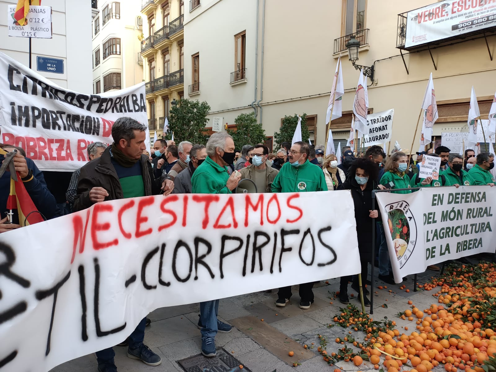 Entrevista al Presidente de Aliv, Victor Viciedo