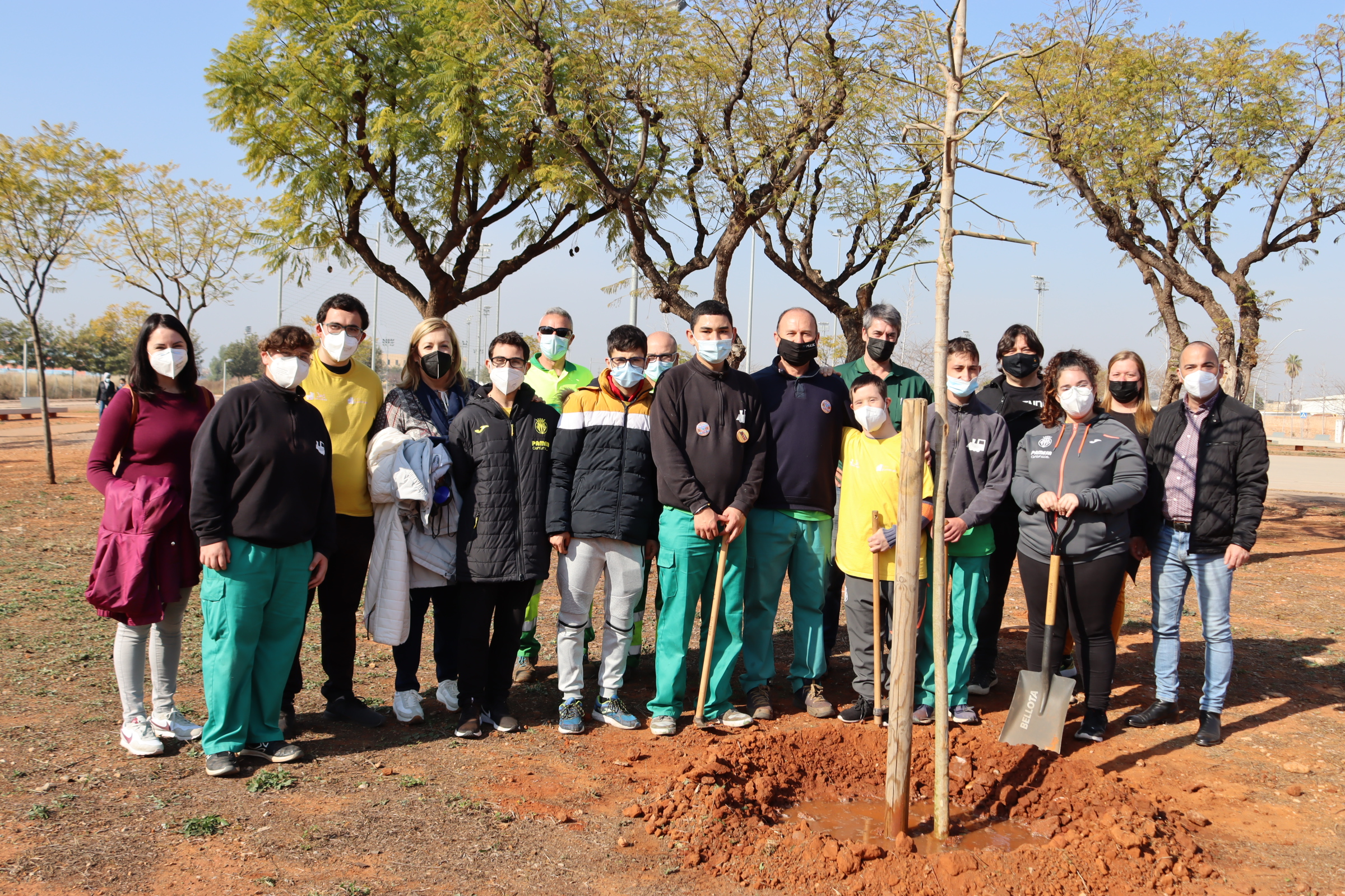 Los colegios de Vila-real conmemoran el Día del Árbol