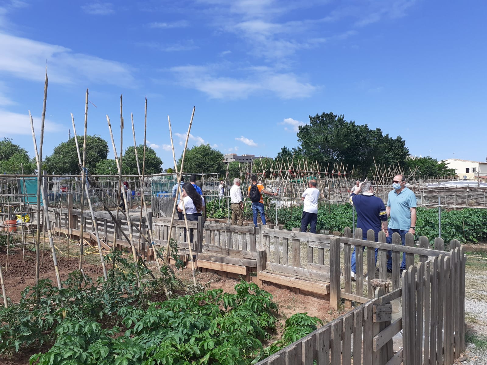 El Ayuntamiento de Burriana convoca un nuevo curso de agricultura ecológica