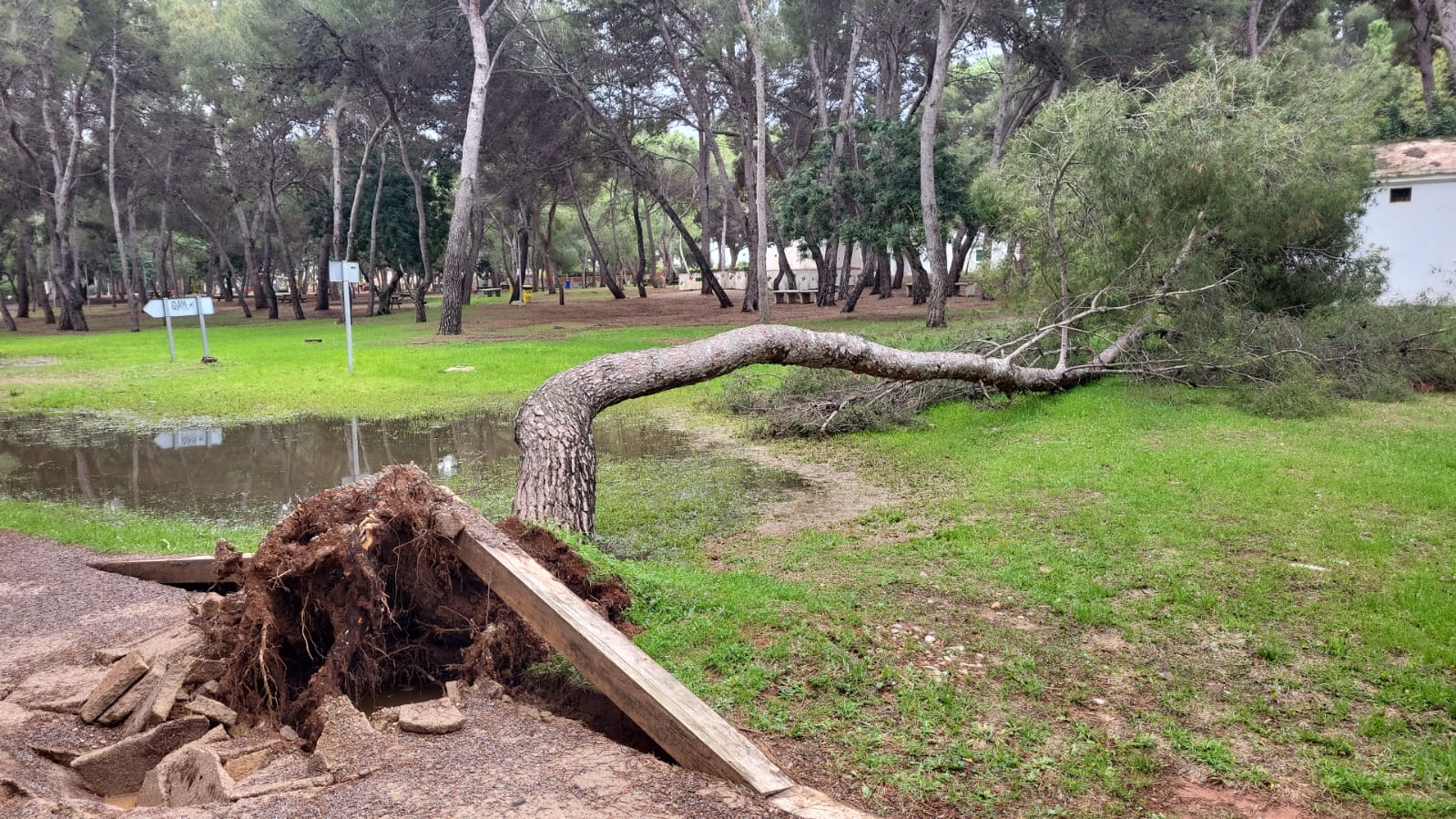 Vila-real cierra el acceso temporalmente al circuito de running y la plaza del Pastoret por las lluvias