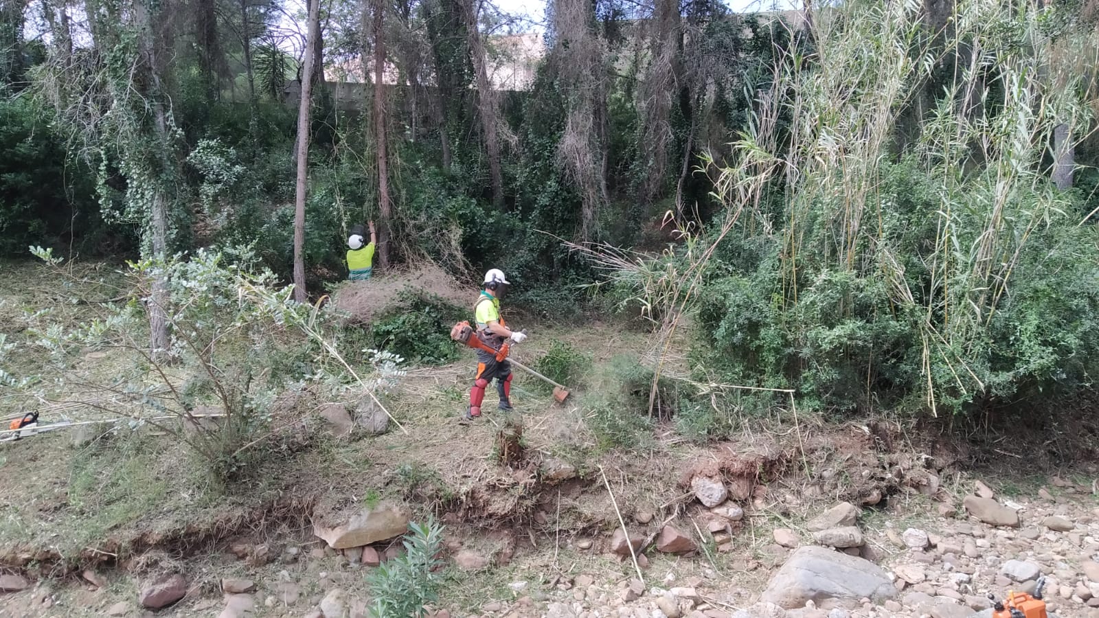 Benicàssim continúa intensificando las labores de limpieza en barrancos urbanos y perímetro de las urbanizaciones de montaña