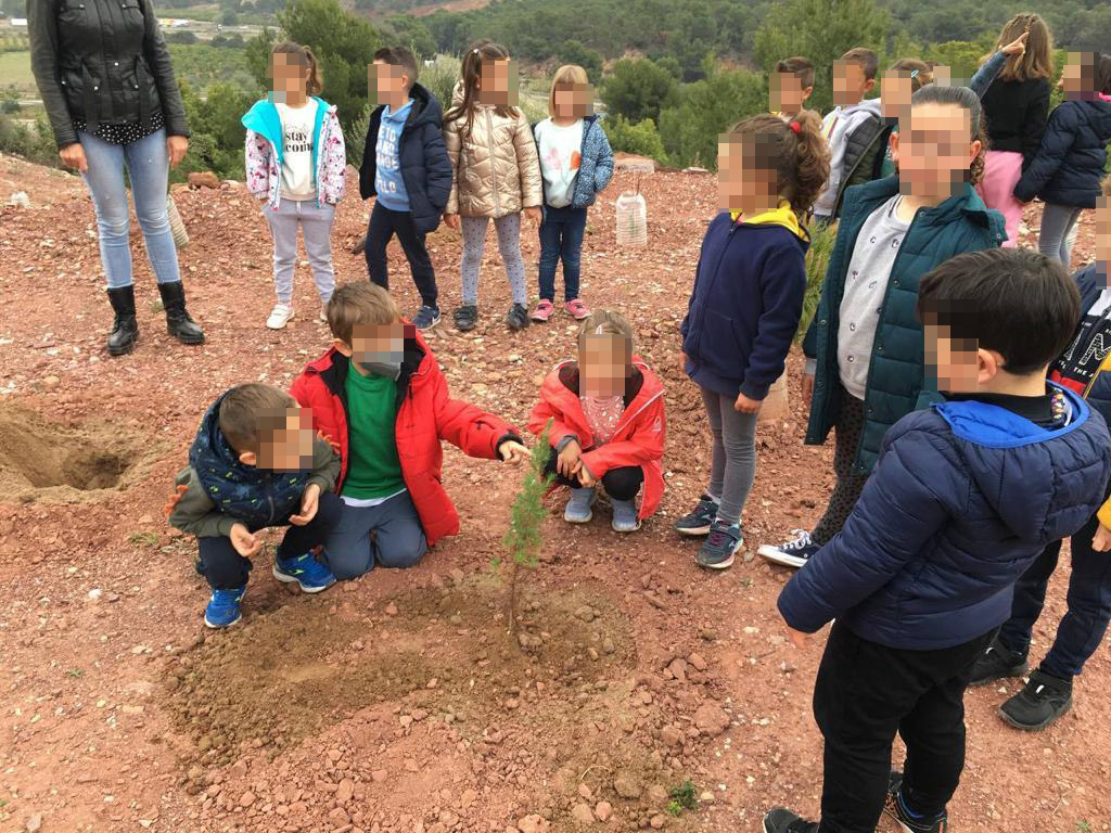 El alumnado del colegio de Almenara planta 500 pinos para celebrar el Día del Árbol