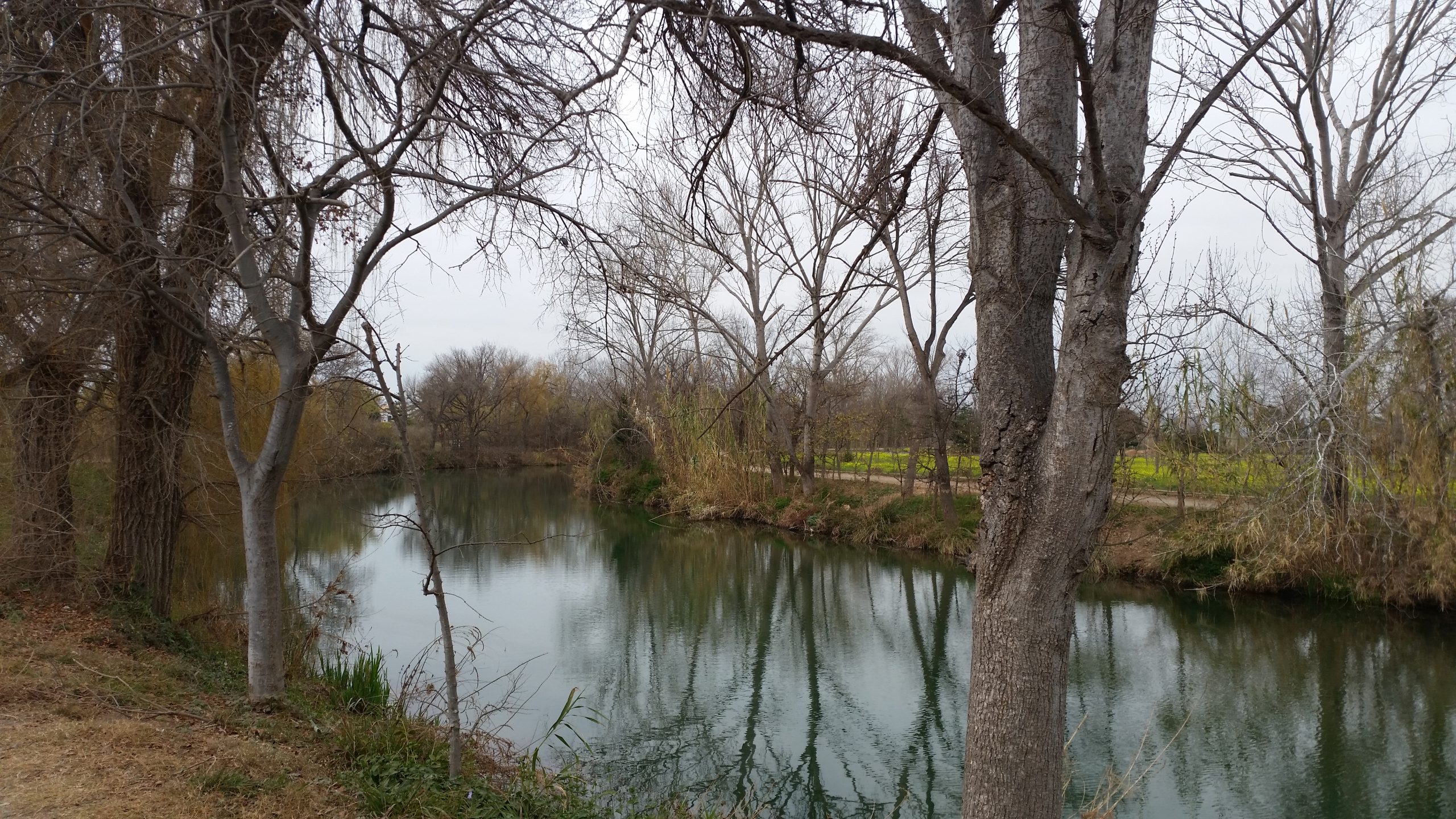 La Confederación Hidrográfica del Júcar visita la restauración ambiental del río Anna en Burriana