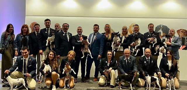 El alcalde de Vila-real participa en Madrid en el acto para declarar al perro ratonero valenciano raza internacional