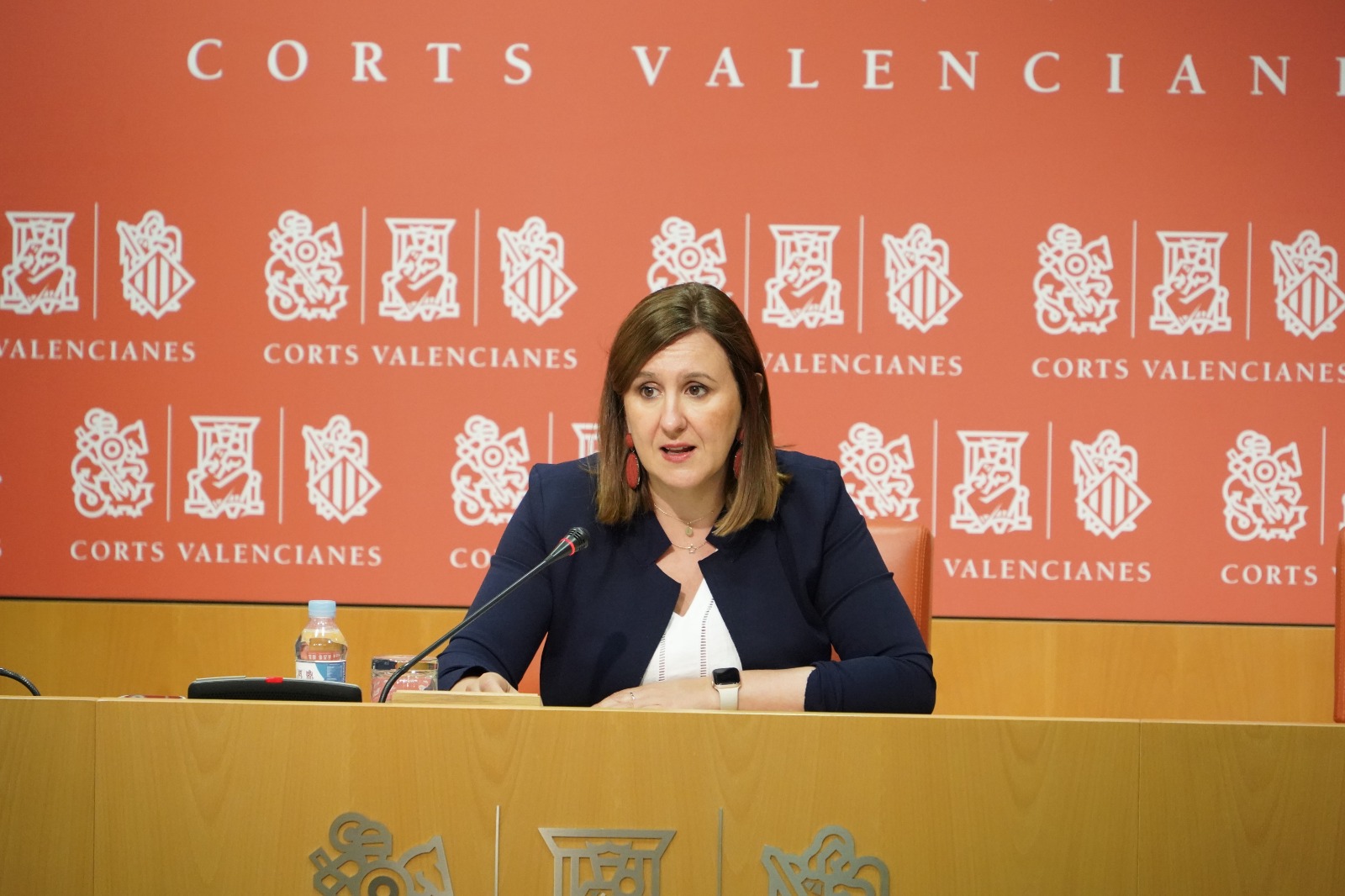 Catalá: “Puig debe dejar de jugar al monopoly con las instituciones del Estado y exigir que se ejecuten las inversiones”