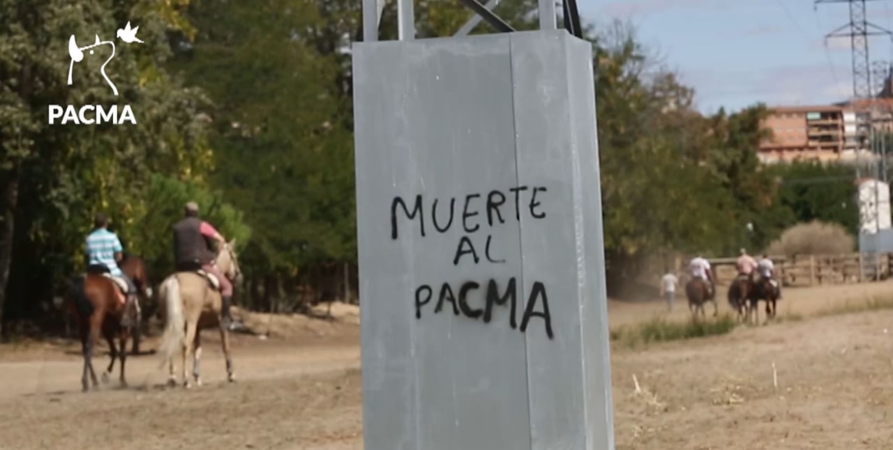 «Como vengáis por Almazora os atropello con el coche»: amenazas de muerte a PACMA por difundir imágenes de «un toro agonizando»