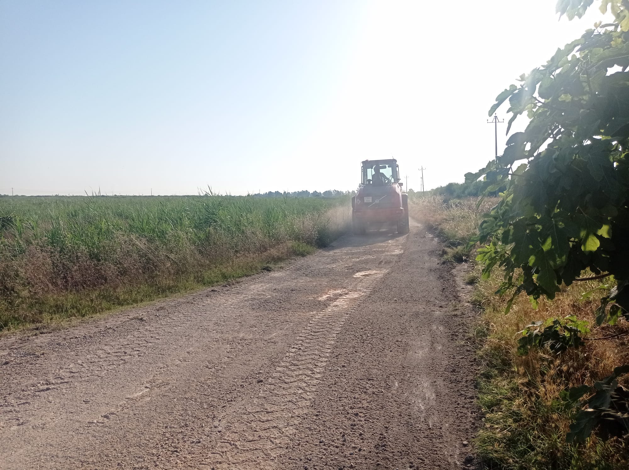 Almenara realiza obras de mejora y adecuación en varios caminos rurales de la localidad