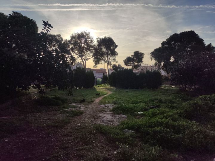 Sara Devesa, presidenta de Gats de Barri de Vila-real