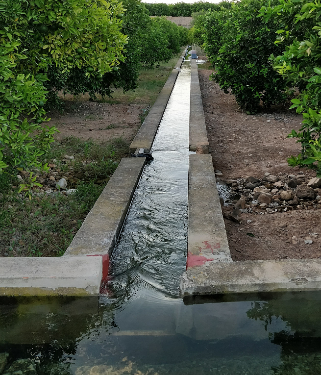 Francesc La Roca, membre de la Xarxa per una Nova Cultura de l’Aigua al Xúquer