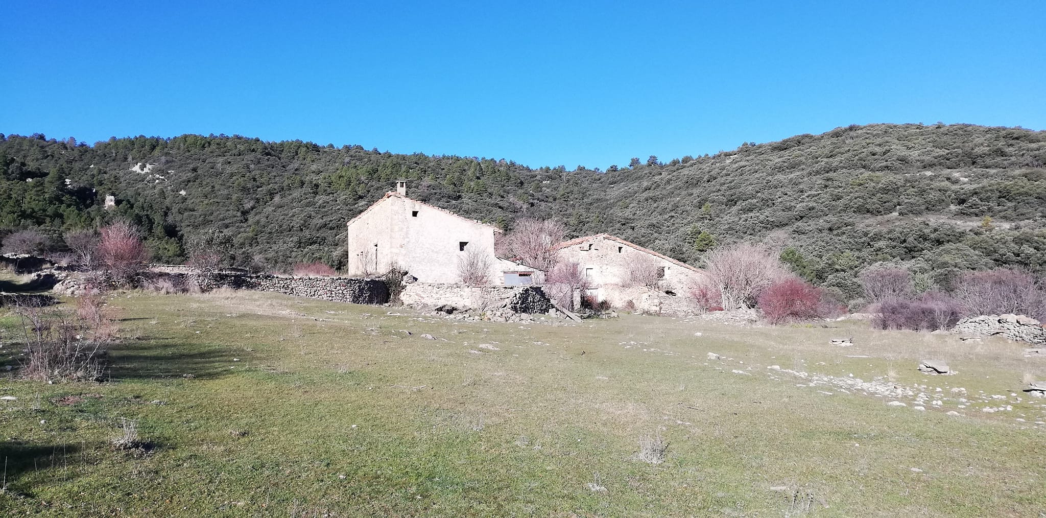 🌪️L’alcalde de Vistabella, Jordi Alcón, ens conta els efectes de les ratxes de vents d’aquesta matinada al seu terme.