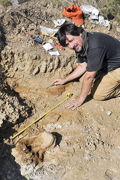 Parlem amb Andrés Santos Cubedo, paleontòleg Grup Guix